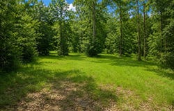 Park Place, McComb, MS 39648