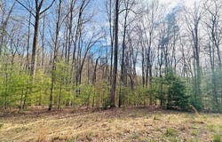 221 WINDSOR LN, DANIELS, WV 25832