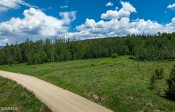 2064 GCR 88, Granby, CO 80446