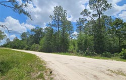 NE 40TH Lane, WILLISTON, FL 32696