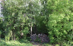 ON HURON ST, Three Lakes, WI 54562