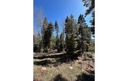 Lot 1567 Cascade Overlook, Angel Fire, NM 87710