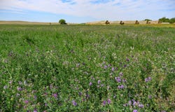 3330  Strater Rd, Malta, MT 59538