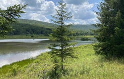 Bobcat Road lot: 42, Davis, WV 26260