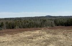 MAP13LOT21 Route 199 Route, Penobscot, ME 04476