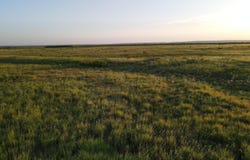 County Road 248, Dickens, TX 79229