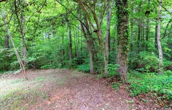 233 Chestnut Drive, Bracey, VA 23919