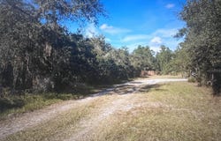 795 4TH STREET E, OSTEEN, FL 32764