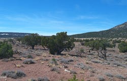 Tbd Windsor Valley Ranch, Concho, AZ 85924