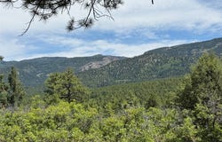 381 Buckman Rd, Chama, NM 87520
