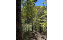3825 Highway 191, West Liberty, KY 41472