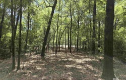 1131 Wolf Log Road, Flomaton, AL 36441