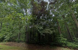 -- Doll Mountain Road, Ellijay, GA 30540