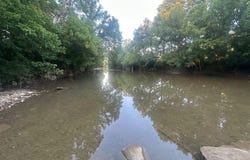 0 Highway 49, Bradfordsville, KY 40009