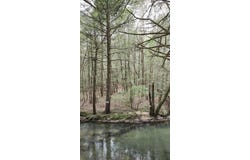 0 Old Holy Water Road, Tracy City, TN 37387