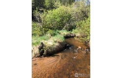 151 Ada Ct, Red Feather Lakes, CO 80545