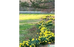 Sawmill Road, Franklin Twp, PA 18235