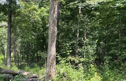Lot 45 PR Ridge Haven, Mammoth Spring, AR 72554