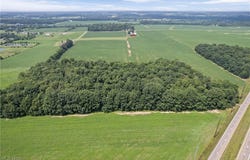 58 State Route 42, West Salem, OH 44287