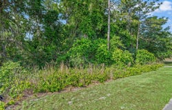 2823 W C 48, BUSHNELL, FL 33513