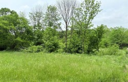 1581 Old Cedar Top School Road, Greensburg, KY 42743