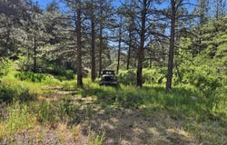 Spiritwood Ln, Bellvue, CO 80512