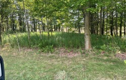 State Highway 206, Masonville, NY 13804