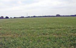 00 Brushy Branch RD, Lockhart, TX 78644