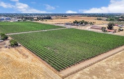 0 Avenue 14 1/2, Madera, CA 93638