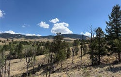 814 County Road 169A, Cotopaxi, CO 81223