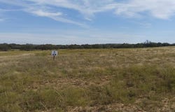 0 County Road 266, Gustine, TX 76455