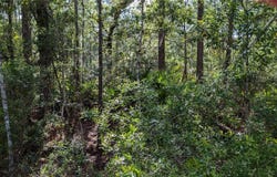 00 NE 108TH PLACE, WALDO, FL 32694