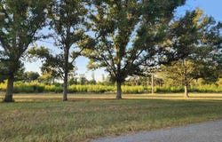 567 Eagle Road, Star City, AR 71667