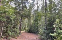 0 Highway 29, Andalusia, AL 36426