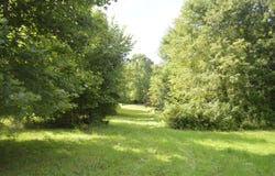 1400 Keller Road, Middleport, OH 45760