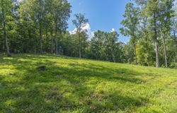 750 Block Eddie Miles Rd, New Haven, KY 40051