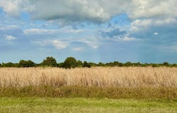 6635 SE 26th Trail, Okeechobee, FL 34974