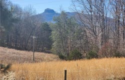 Golf Course Road, Pilot Mountain, NC 27041