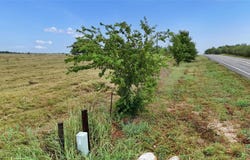 2085 E Highway 237, Round Top, TX 78954