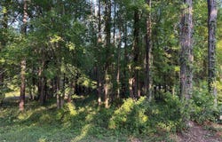 Mcleod Drive, Tallahassee, FL 32303