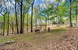 1275 Jerusalem Church Road, Waleska, GA 30183