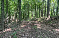 0 Thomas Road, Laurelville, OH 43135