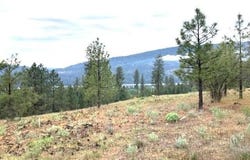1321 SUNSET WAY, KETTLE FALLS, WA 99141