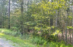 0018 Riverfront Way, Gouldsboro, PA 18424