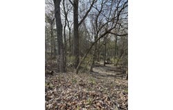 Lot 31 W High Street, Greenville, MI 48838
