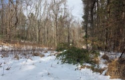 Bennett Lane, Sparta, NC 28627
