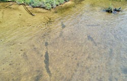 On BIRCH POINT RD, Conover, WI 54519