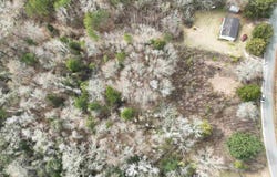 1041 Freedom Rd, Century, FL 32535