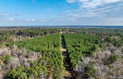 Tom Woodley Rd, Marshall, TX 75672