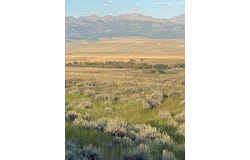 Old Flathead Creek Rd, Wilsall, MT 59086